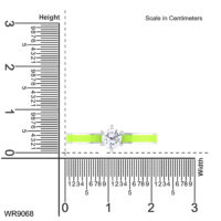 WR9068-1-20